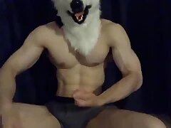 Gay XXX 1